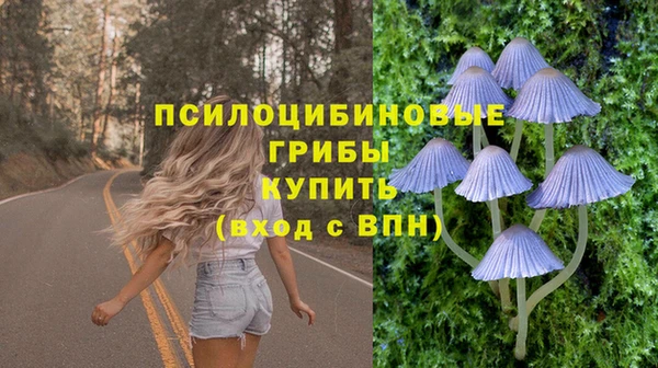 стафф Верея